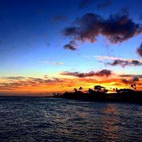 The Beach House Restaurant - 7