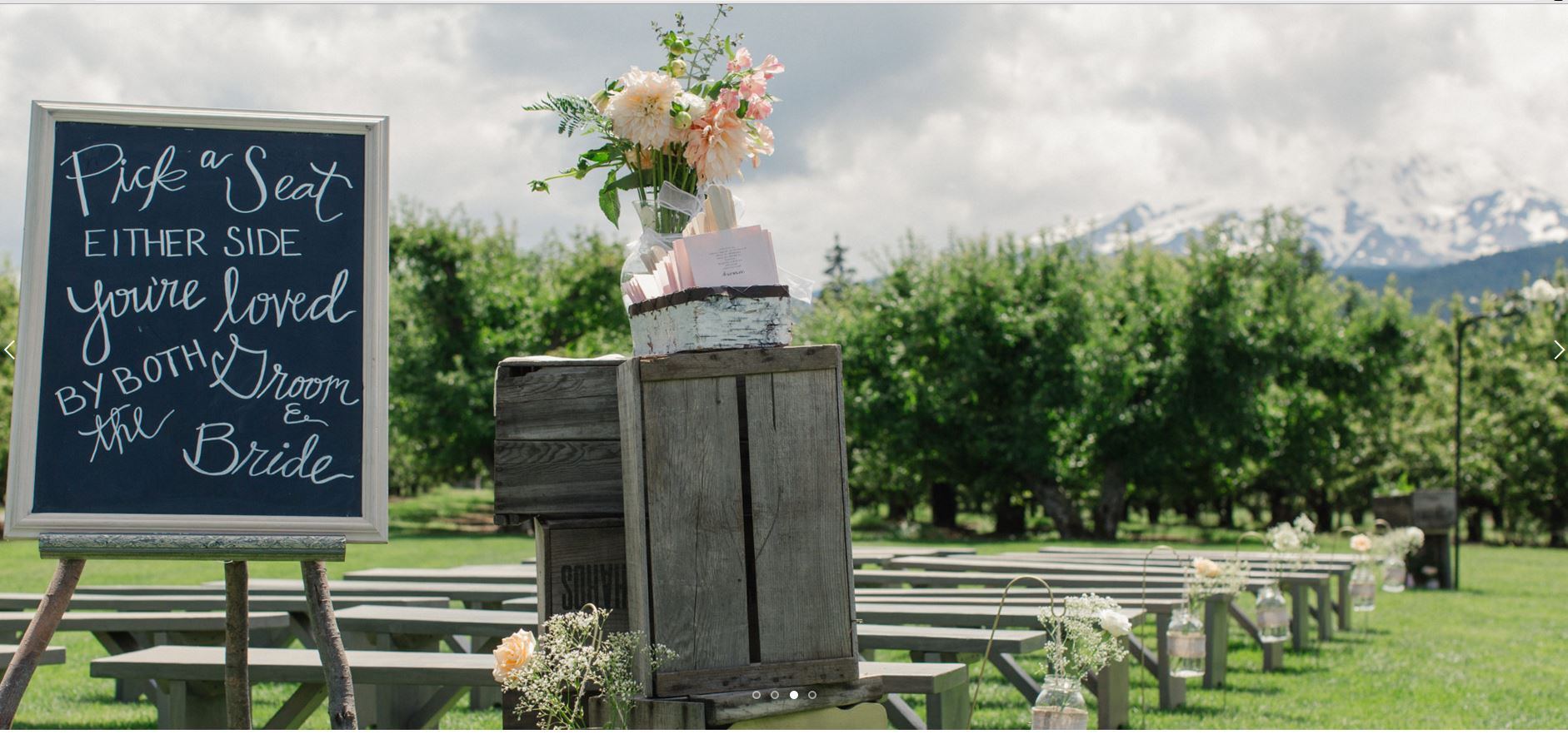 Mt View Orchards Weddings - 5