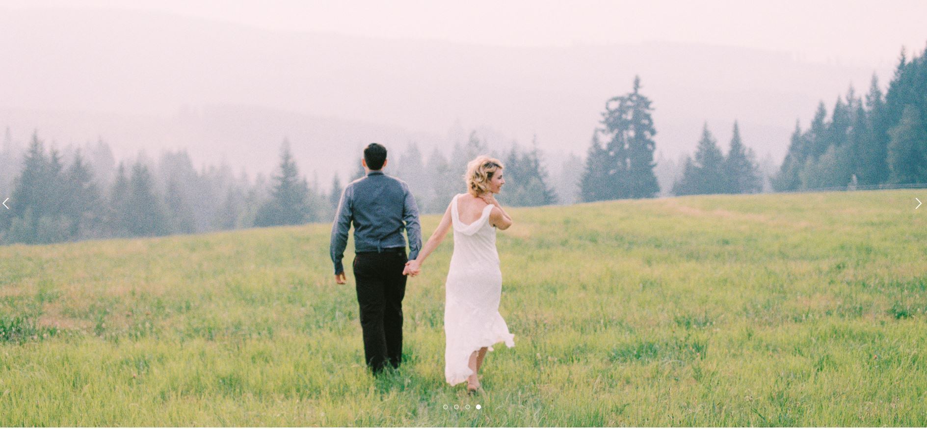 Mt View Orchards Weddings - 1