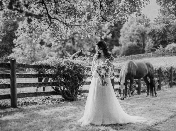 Viola Farm At Bear Creek - 5