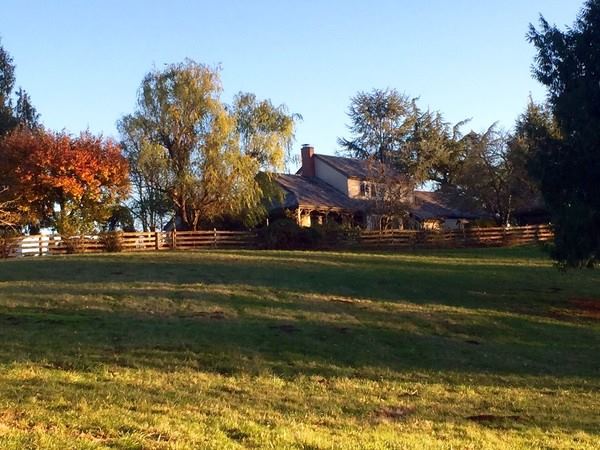 Viola Farm At Bear Creek - 2