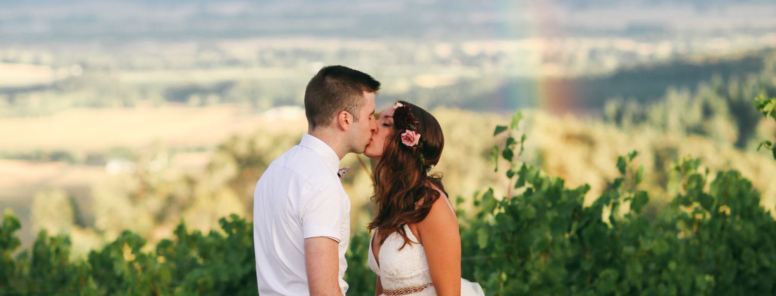 J Wrigley Vineyards - 1