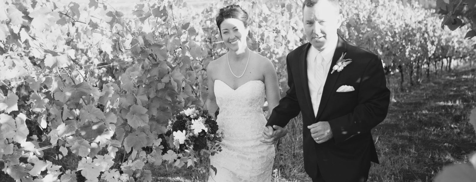 J Wrigley Vineyards - 7