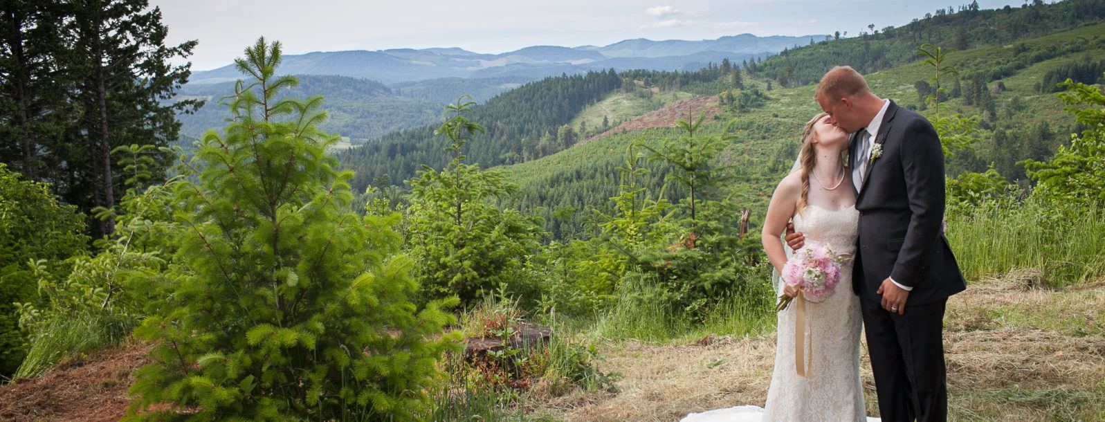 J Wrigley Vineyards - 6