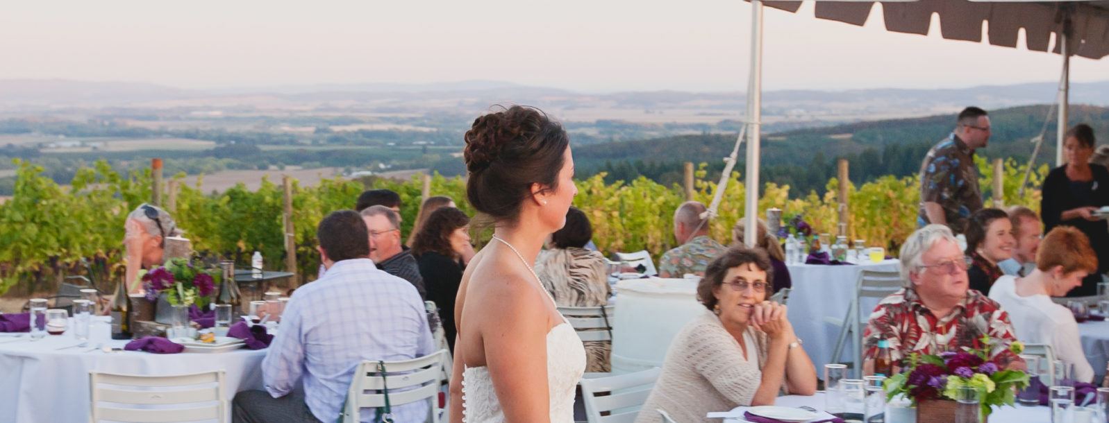 J Wrigley Vineyards - 2