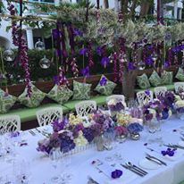 The Palms Turks and Caicos - 7