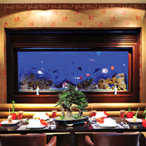 SENTIDO Perissia - 5