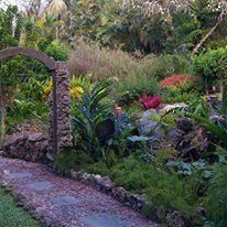 Bougainvillea Beach Resort - 4