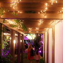 Bougainvillea Beach Resort - 7