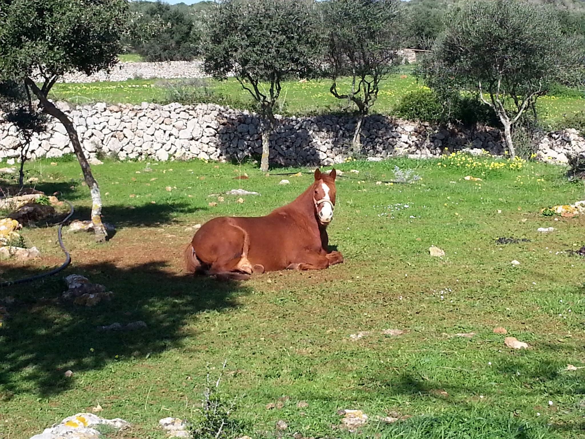 Sant Joan De Binissaida - 3