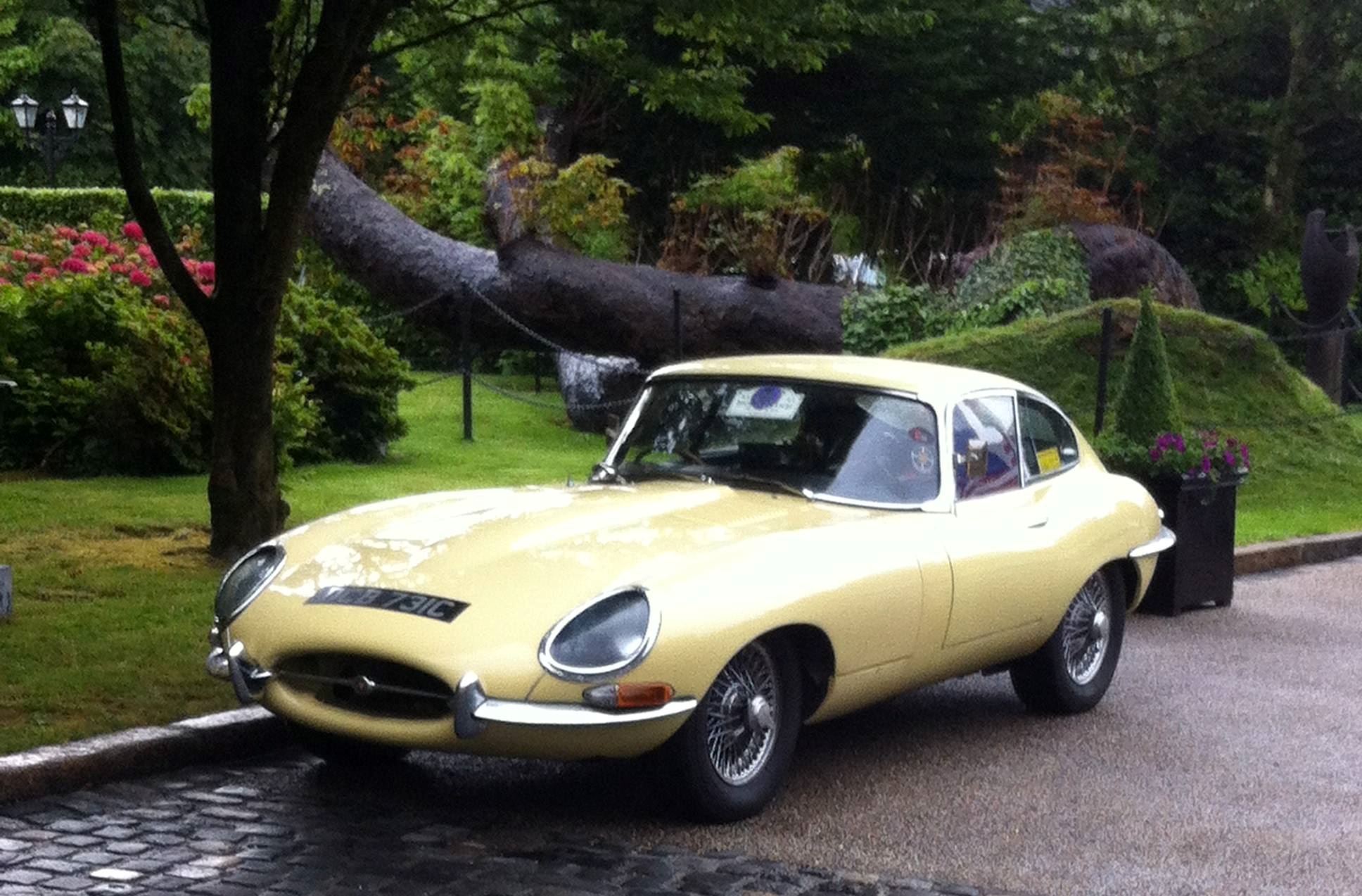 The Killarney Park Hotel - 4