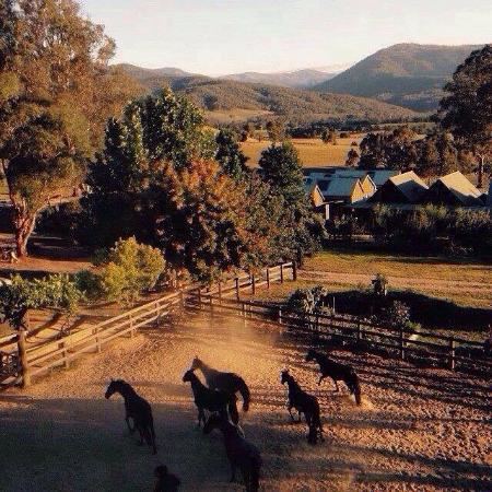 Spring Spur Stay - 4