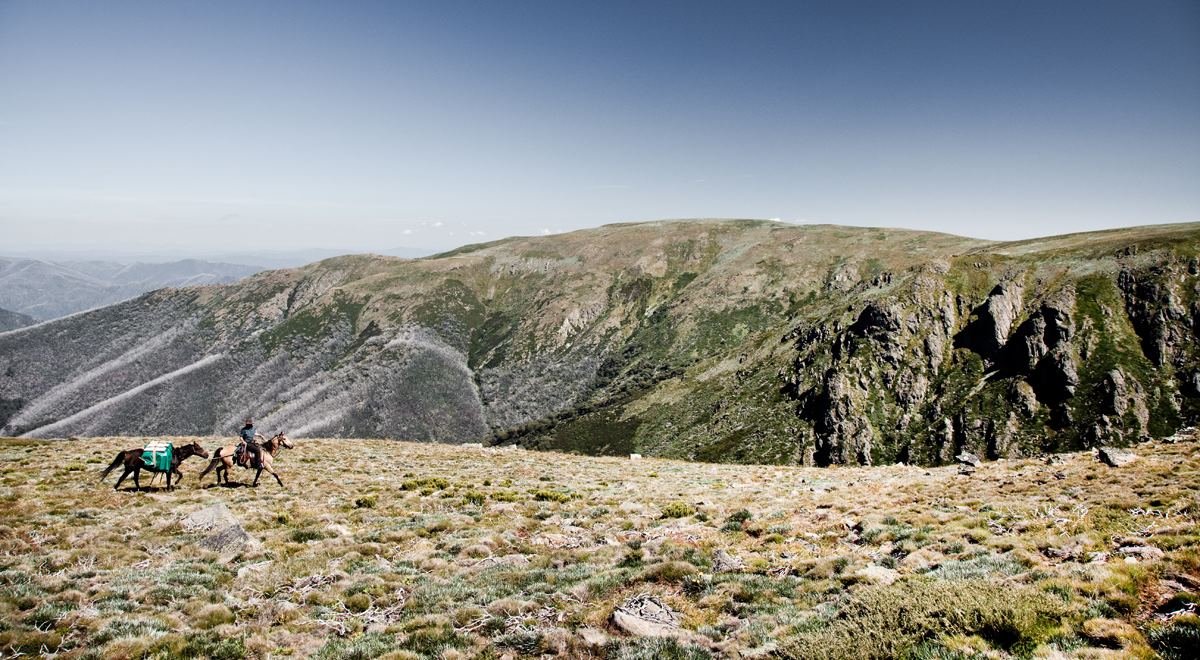 Spring Spur Stay - 2