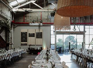 Three Blue Ducks - Rosebery - 2