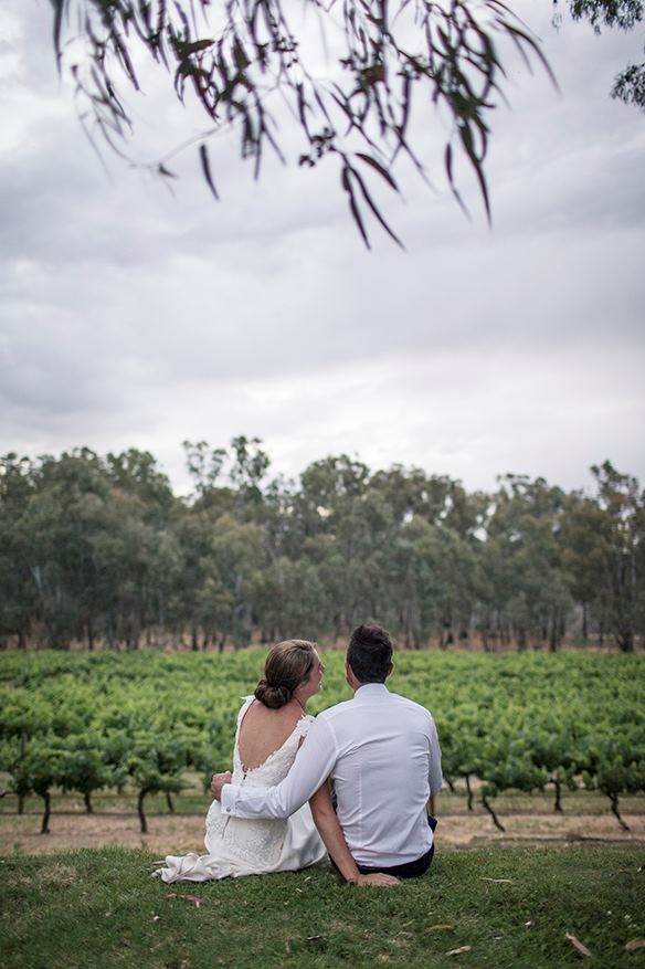 St. Leonards Vineyard - 2