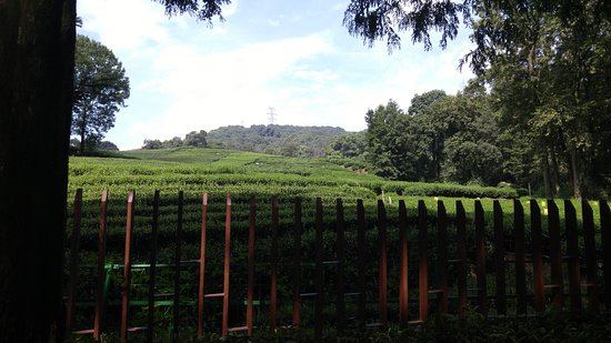 Millennium Resort Hangzhou - 3