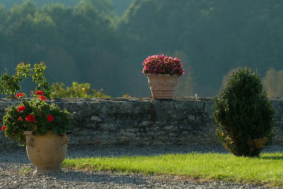 Chateau de Lacoste - 6