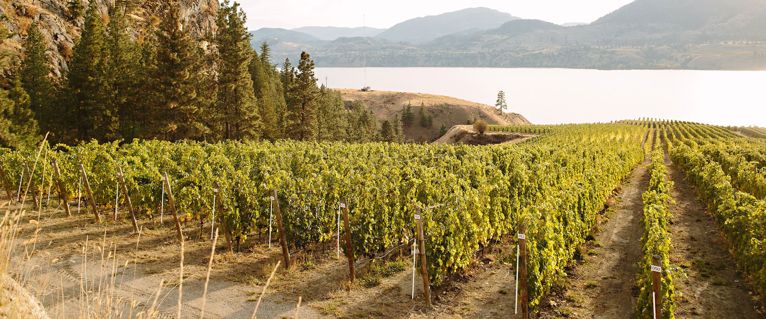 Painted Rock Estate Winery - 4