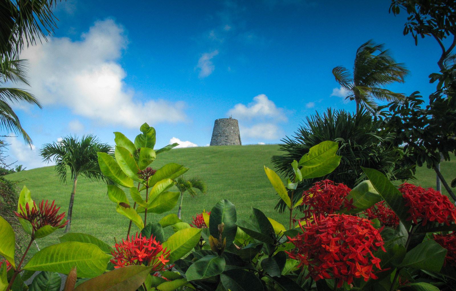 Tamarind Reef Resort, Spa and Marina - 7