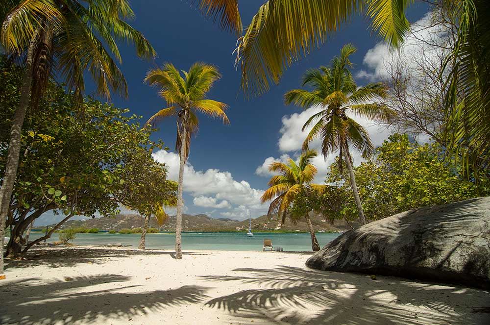 Surfsong Villa Resort - 2