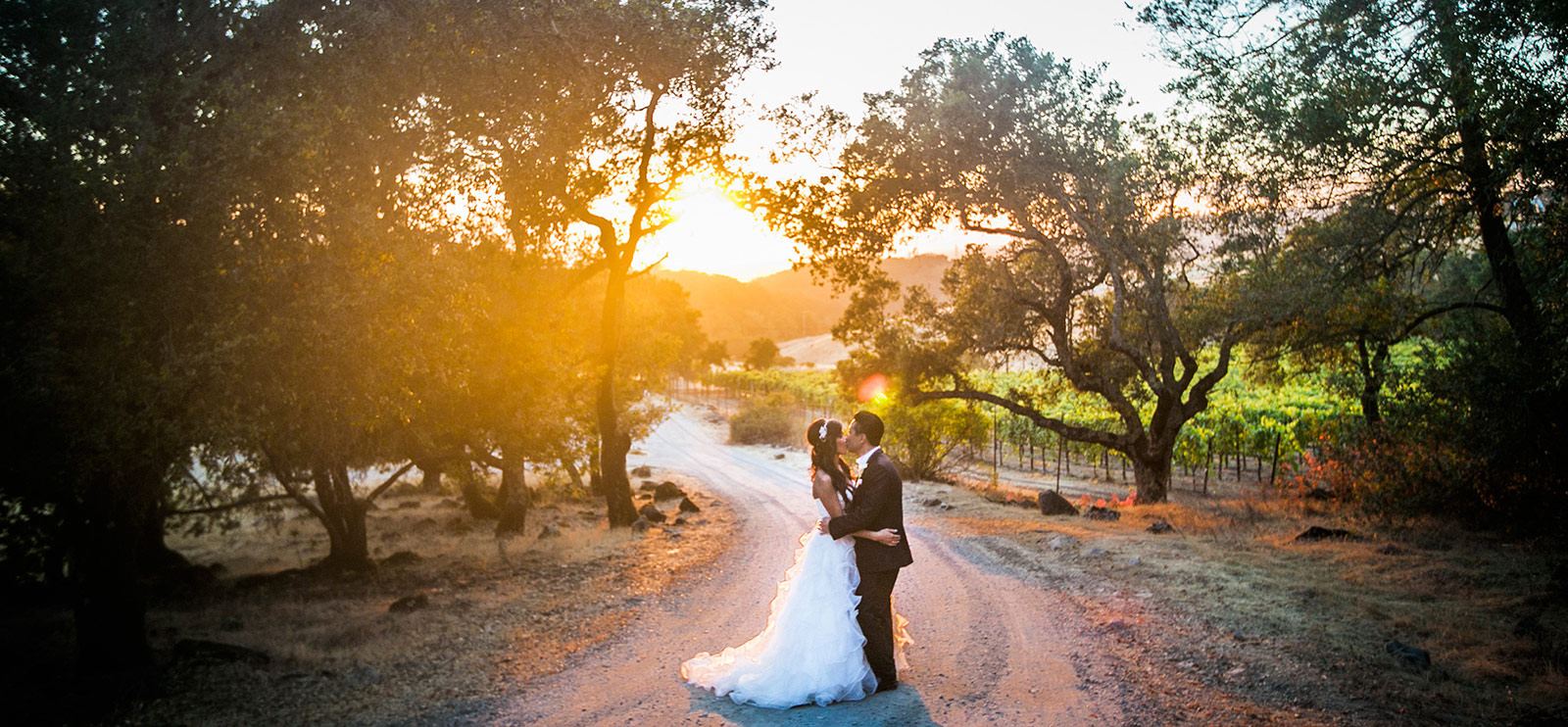 Paradise Ridge Winery - 6