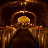 Embassy Suites by Hilton Napa Valley - 4