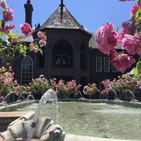 Ledson Winery and Vineyards - 2