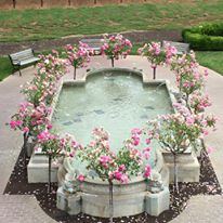 Ledson Winery and Vineyards - 3