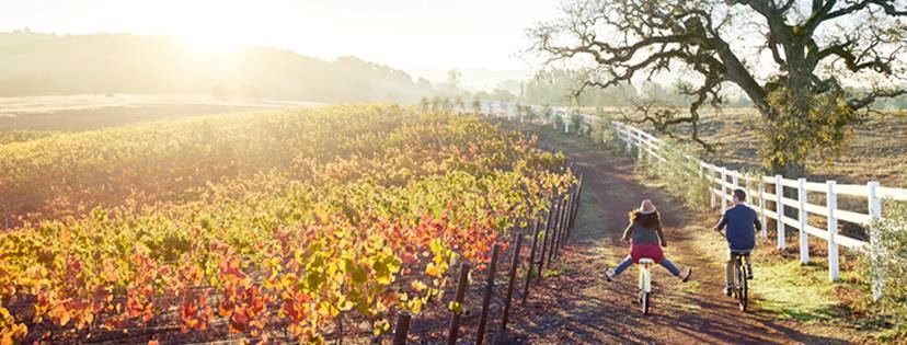 The Meritage Resort And Spa - 2