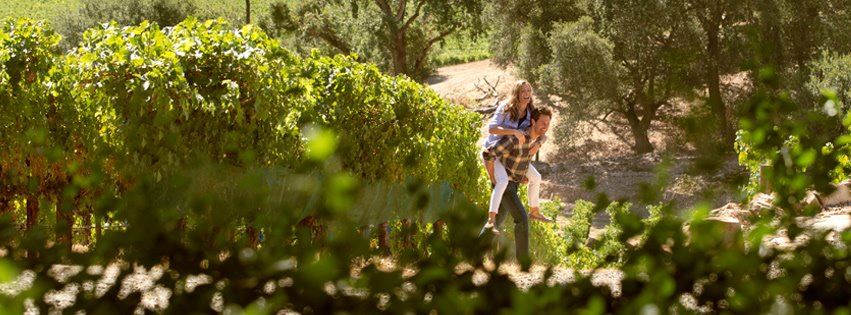 River Terrace Inn Napa - 2