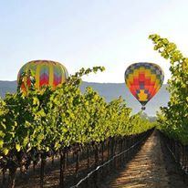 River Terrace Inn Napa - 3