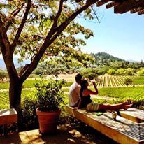 River Terrace Inn Napa - 4