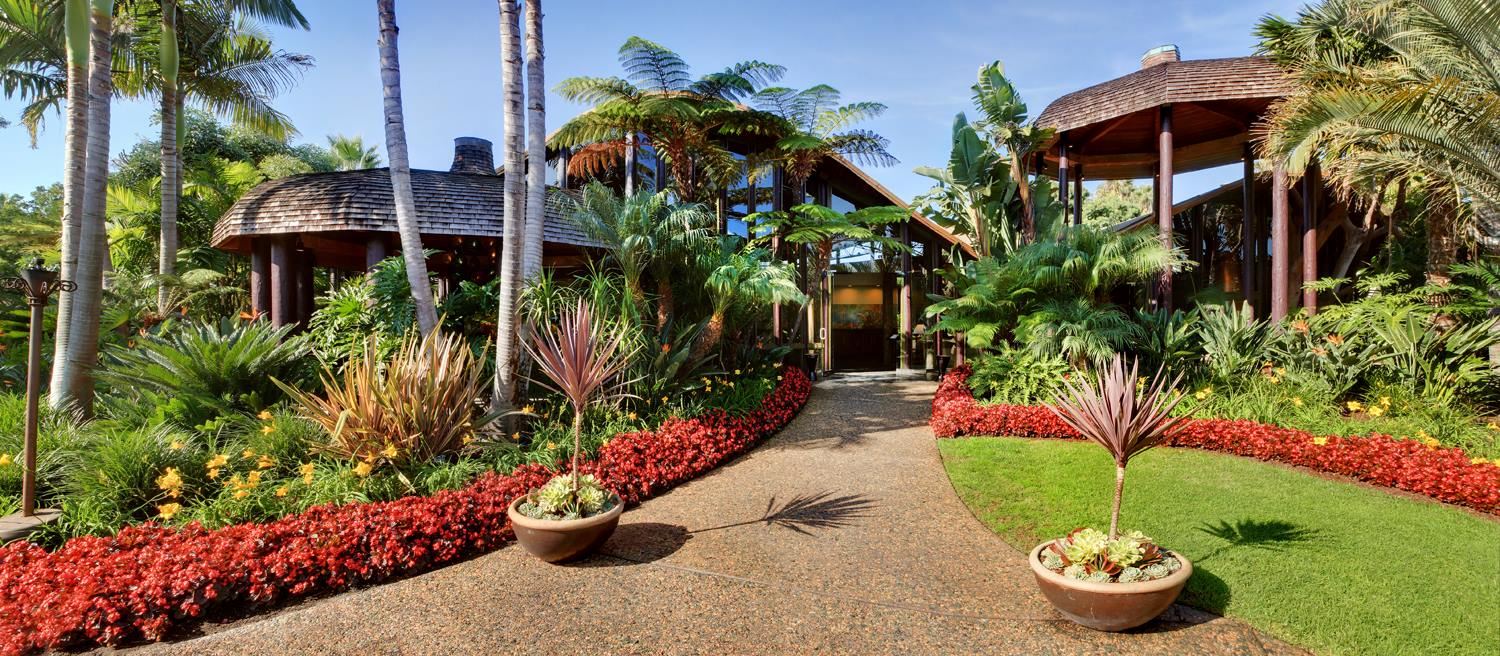 Paradise Point Resort And Sap, A Destination Hotel - 4