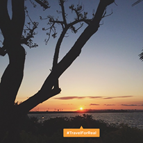 Paradise Point Resort And Sap, A Destination Hotel - 7