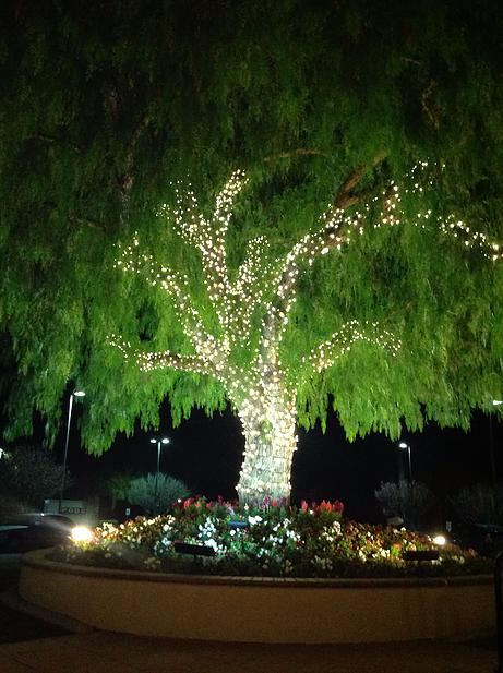 Temeku Hill Ballroom - 6