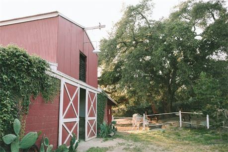 The Condor's Nest Ranch - 4