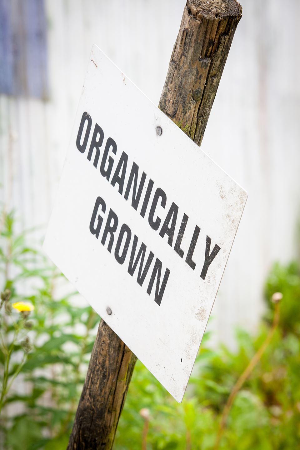 Virginia Park Lodge - 4