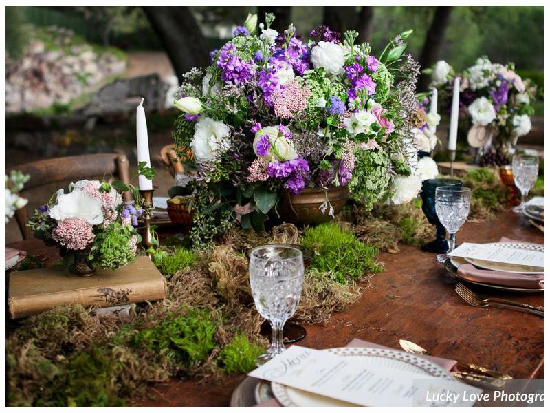 Oak Canyon Ranch - 7