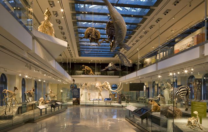 Natural History Museum of L.A. County - 2