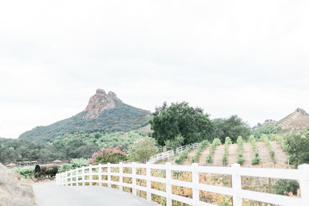 Saddlerock Ranch and Vineyard - 5