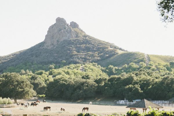 Saddlerock Ranch and Vineyard - 1