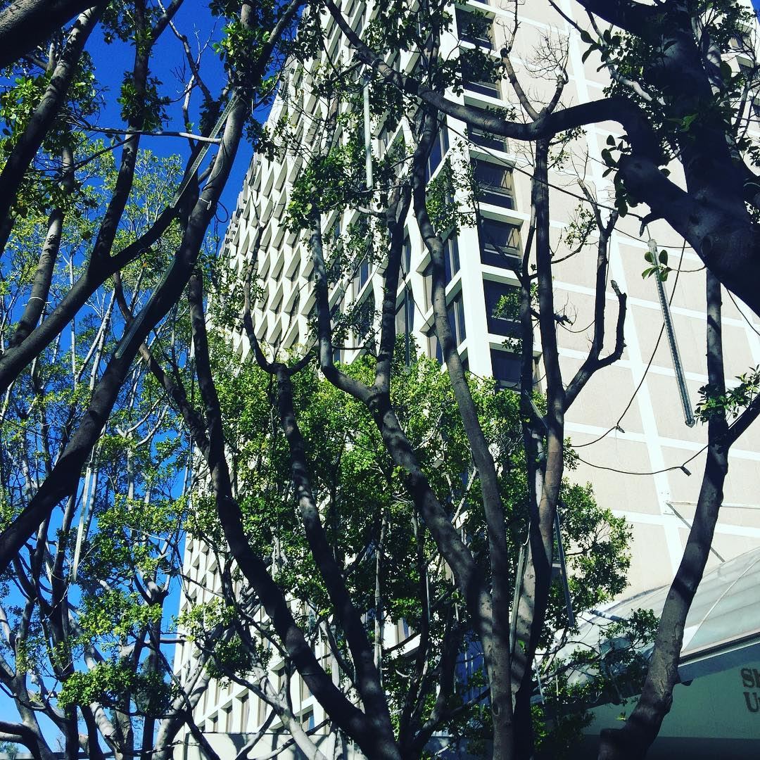 Sheraton Universal - 6