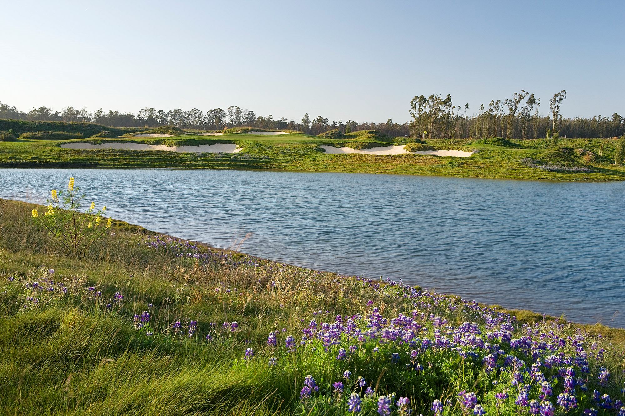 Monarch Dunes Golf Course And Butterfly Grille - 4
