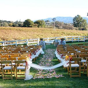 Lincourt Vineyard - 5