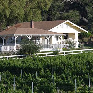 Lincourt Vineyard - 7