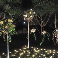 Japanese Friendship Gardens Of Phoenix - 6