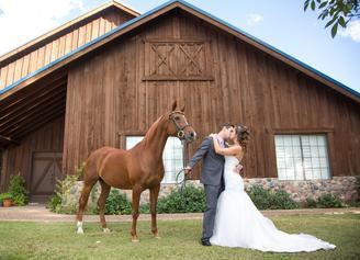The Elegant Barn - 1
