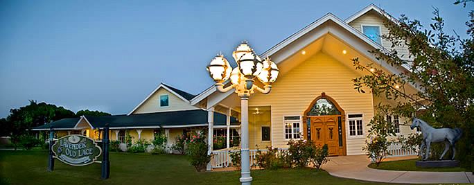 Lavender And Old Lace - 2