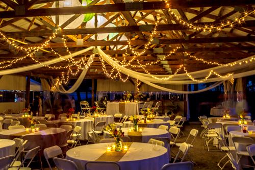 Terrapin Hill Farm - 5