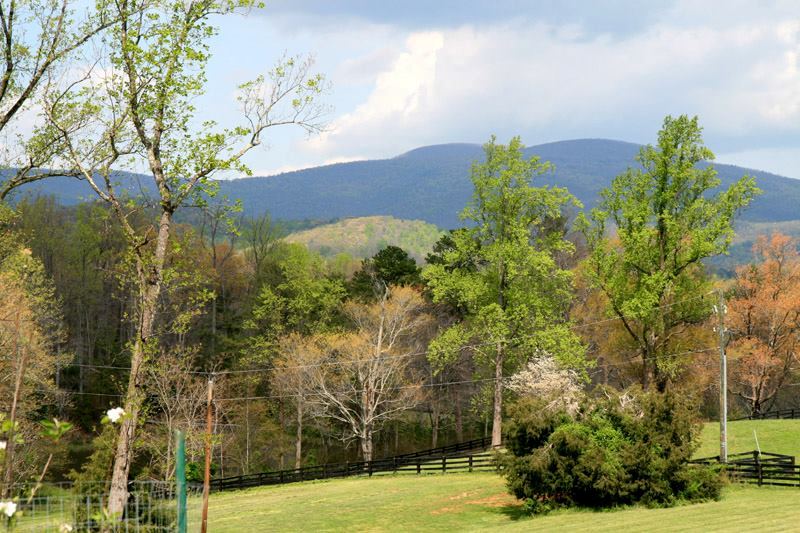 Montfair Resort Farm - 5